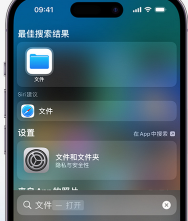 黄潭镇apple维修中心分享iPhone文件应用中存储和找到下载文件