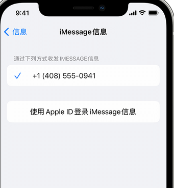 黄潭镇apple维修iPhone上无法正常发送iMessage信息 