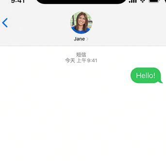 黄潭镇apple维修iPhone上无法正常发送iMessage信息