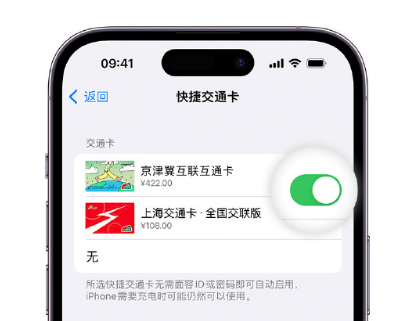 黄潭镇apple维修点分享iPhone上更换Apple Pay快捷交通卡手绘卡面 