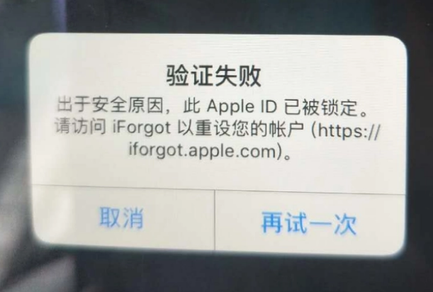 黄潭镇iPhone维修分享iPhone上正常登录或使用AppleID怎么办 