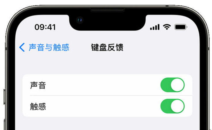 黄潭镇苹果手机维修分享iPhone 14触感键盘使用方法 