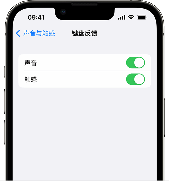 黄潭镇苹果14维修店分享如何在 iPhone 14 机型中使用触感键盘 