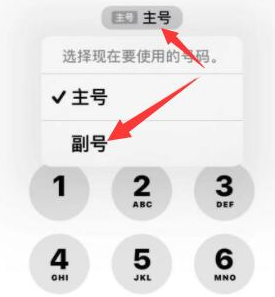 黄潭镇苹果14维修店分享iPhone 14 Pro Max使用副卡打电话的方法 