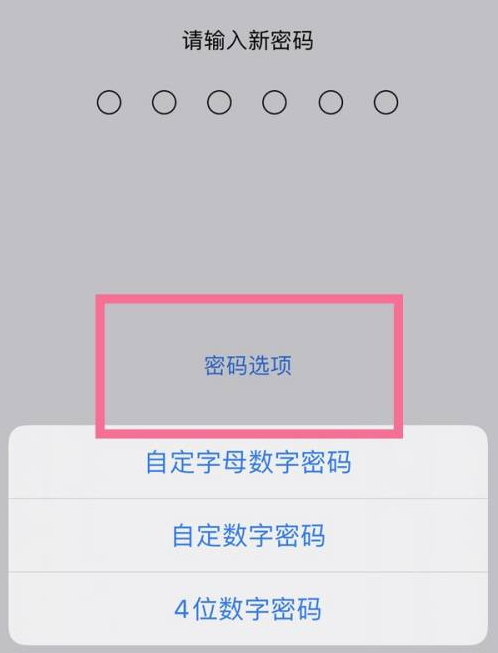 黄潭镇苹果14维修分享iPhone 14plus设置密码的方法 