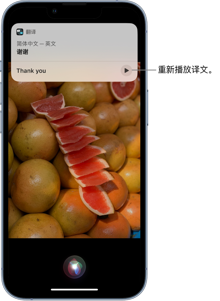 黄潭镇苹果14维修分享 iPhone 14 机型中使用 Siri：了解 Siri 能帮你做什么 