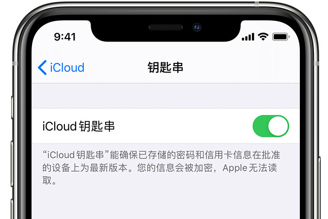 黄潭镇苹果手机维修分享在 iPhone 上开启 iCloud 钥匙串之后会储存哪些信息 