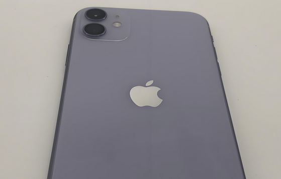 黄潭镇苹果11系统维修分享iPhone11手机系统崩溃无法开机如何解决 